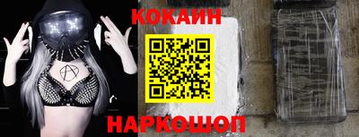 спиды Гай