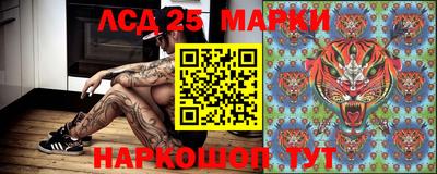 спиды Гай