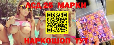 спиды Гай