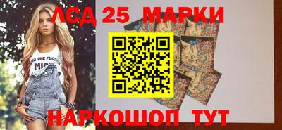 спиды Гай