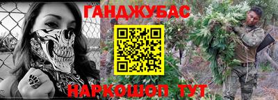 спиды Гай