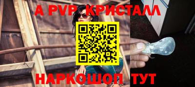 спиды Гай