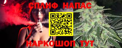 jwh Гатчина