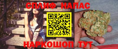 jwh Гатчина