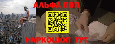 спиды Гай