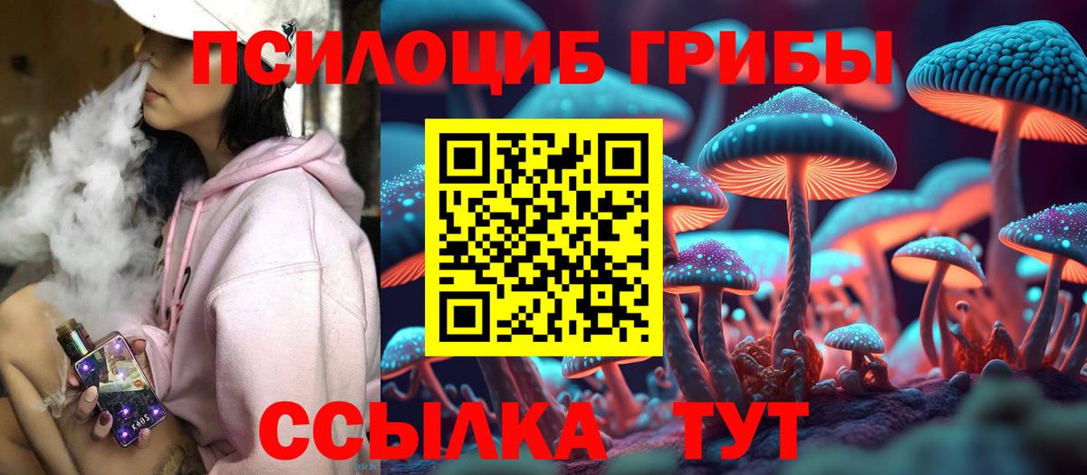 Псилоцибиновые грибы MAGIC MUSHROOMS Мурино